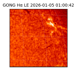 gong - 2026-01-05T01:00:42