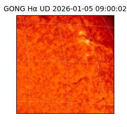 gong - 2026-01-05T09:00:02