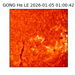 gong - 2026-01-05T01:00:42