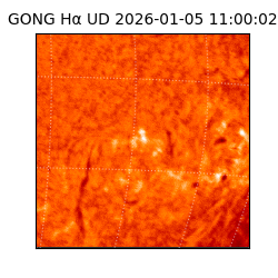 gong - 2026-01-05T11:00:02