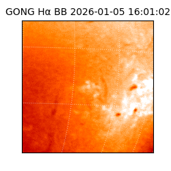 gong - 2026-01-05T16:01:02