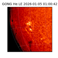 gong - 2026-01-05T01:00:42