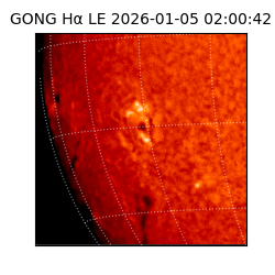 gong - 2026-01-05T02:00:42