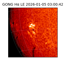 gong - 2026-01-05T03:00:42