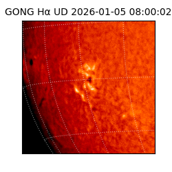 gong - 2026-01-05T08:00:02