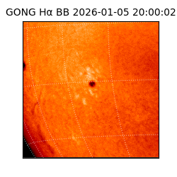 gong - 2026-01-05T20:00:02