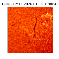 gong - 2026-01-05T01:00:42