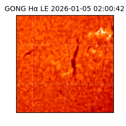 gong - 2026-01-05T02:00:42