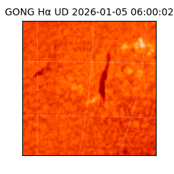 gong - 2026-01-05T06:00:02