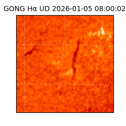 gong - 2026-01-05T08:00:02