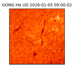 gong - 2026-01-05T09:00:02