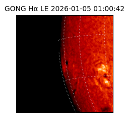 gong - 2026-01-05T01:00:42