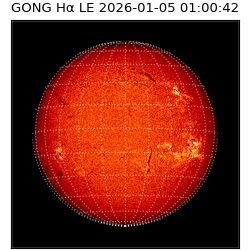gong - 2026-01-05T01:00:42