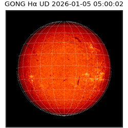 gong - 2026-01-05T05:00:02