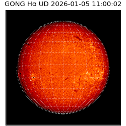 gong - 2026-01-05T11:00:02
