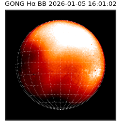 gong - 2026-01-05T16:01:02