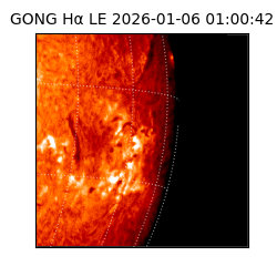 gong - 2026-01-06T01:00:42