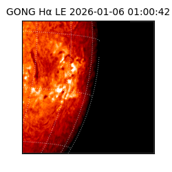 gong - 2026-01-06T01:00:42