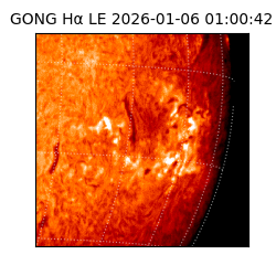 gong - 2026-01-06T01:00:42