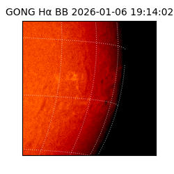 gong - 2026-01-06T19:14:02