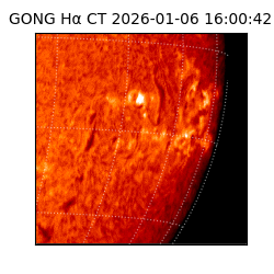 gong - 2026-01-06T16:00:42