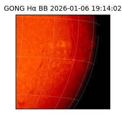 gong - 2026-01-06T19:14:02