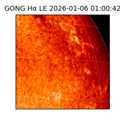 gong - 2026-01-06T01:00:42