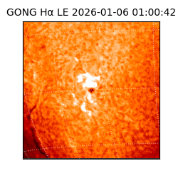 gong - 2026-01-06T01:00:42