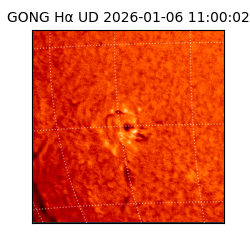 gong - 2026-01-06T11:00:02