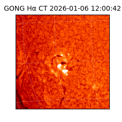 gong - 2026-01-06T12:00:42