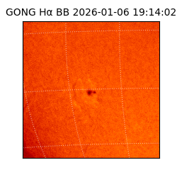 gong - 2026-01-06T19:14:02