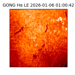 gong - 2026-01-06T01:00:42
