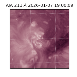 saia - 2026-01-07T19:00:09.631000