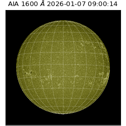 saia - 2026-01-07T09:00:14.125000