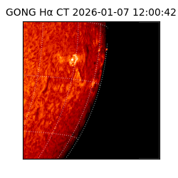 gong - 2026-01-07T12:00:42