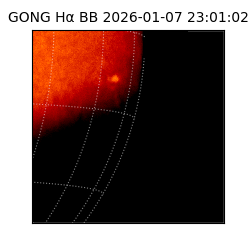 gong - 2026-01-07T23:01:02