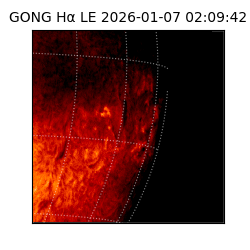 gong - 2026-01-07T02:09:42