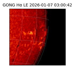 gong - 2026-01-07T03:00:42