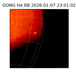 gong - 2026-01-07T23:01:02