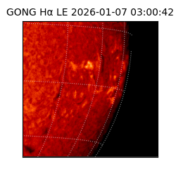gong - 2026-01-07T03:00:42