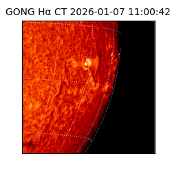 gong - 2026-01-07T11:00:42