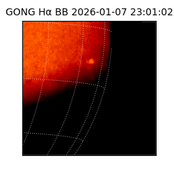 gong - 2026-01-07T23:01:02