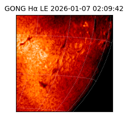 gong - 2026-01-07T02:09:42