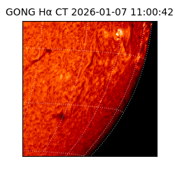gong - 2026-01-07T11:00:42