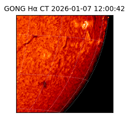 gong - 2026-01-07T12:00:42