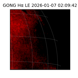gong - 2026-01-07T02:09:42