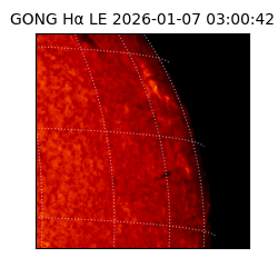 gong - 2026-01-07T03:00:42
