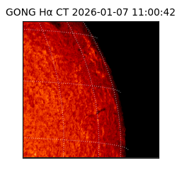 gong - 2026-01-07T11:00:42