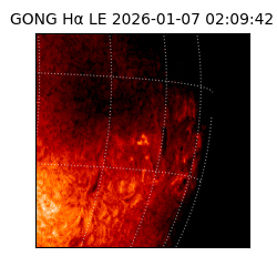 gong - 2026-01-07T02:09:42