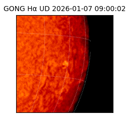 gong - 2026-01-07T09:00:02